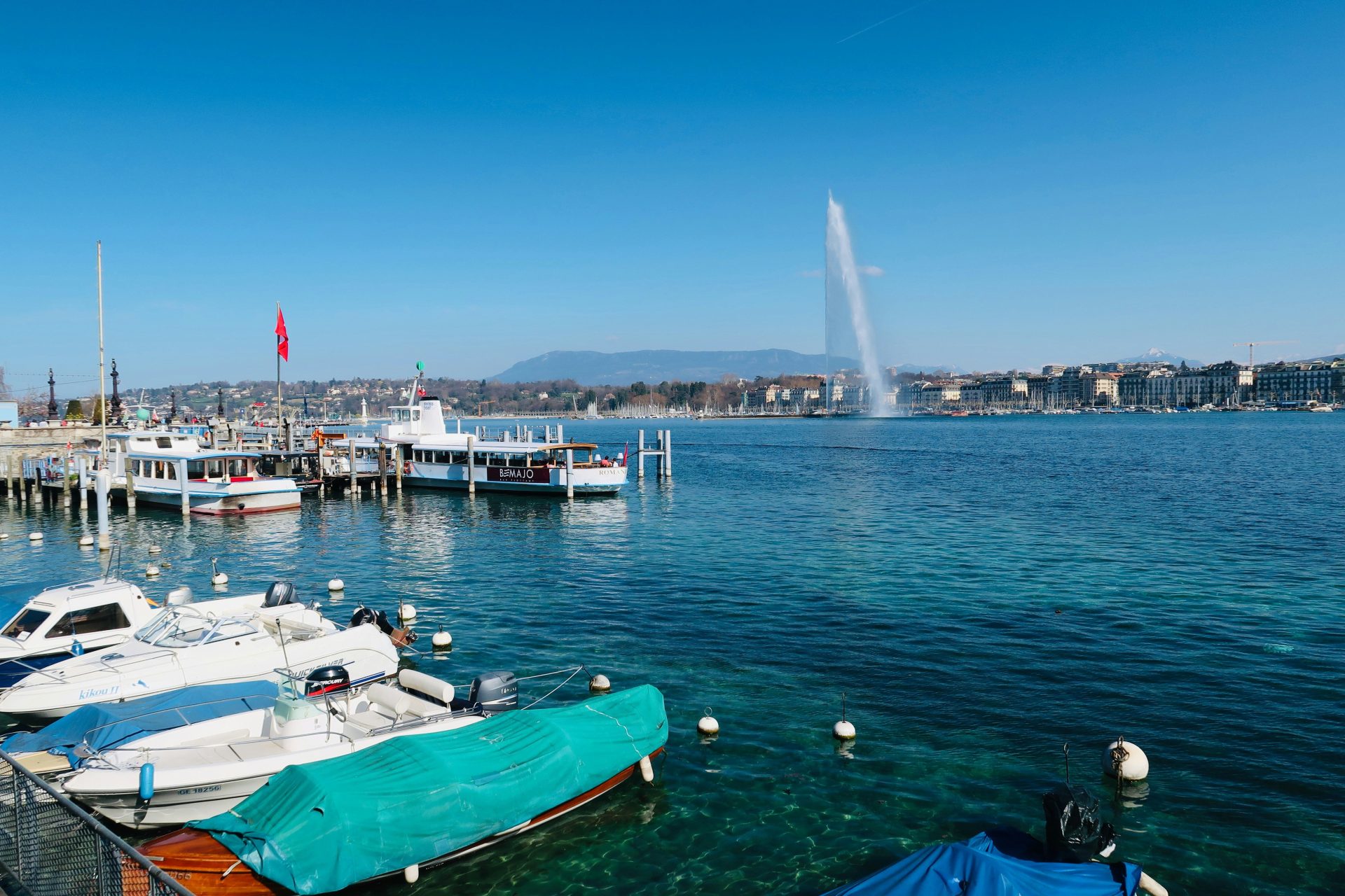 boats in the water